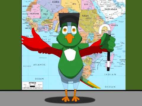 Emphatic Stress: What It Is and How to Use It in English