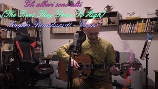 Gli alberi sono alti (The Trees They Grow So High) - Angelo Branduardi - Cover