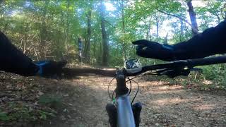 Specialized Rockhopper Hardtail HARD WORK