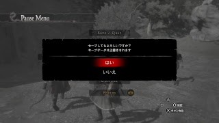 サブデータでドラゴンズドグマーアサシンに挑戦ー