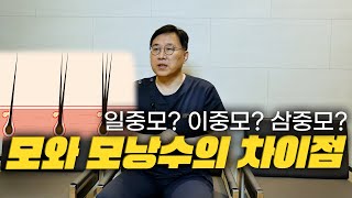 모발이식 견적 받기 전 이것만 기억하…
