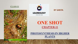 1shot, chapter 11 photosynthesis in higher plants#biology #ncert