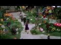 Pure Imagination - Willy Wonka 