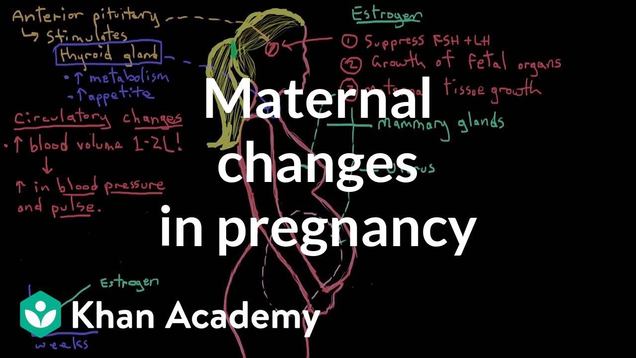 Maternal changes in pregnancy | Reproductive system physiology | NCLEX-RN | Khan Academy