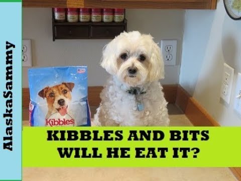 Kibbles and Bits Dog Food Review Mini Bits