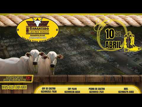 GARANTIDO LEILÕES RURAIS - RIANÁPOLIS-GO