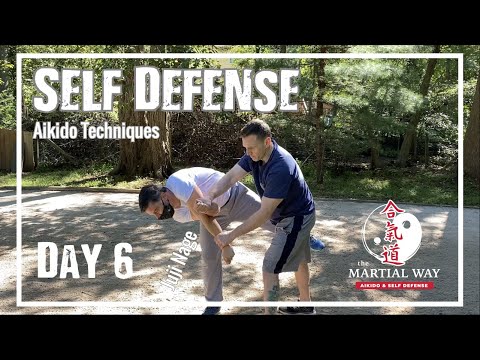 Self Defense Tactics | Arm Lock | Day 6 #selfdefense Aikido