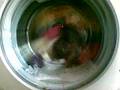 Beko WMA510S Start Of Wash