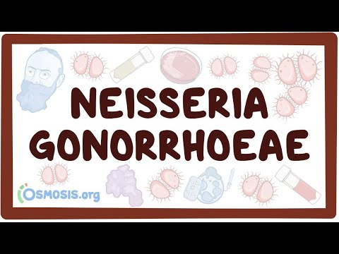 Hogyan ne fejezze be gyorsan a péniszét