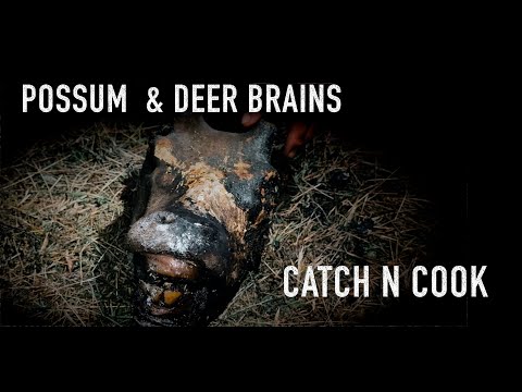 deer brains and possum camp fire catch n cook with Josh James New Zealand Wilderness ADVENTURE VLOGS