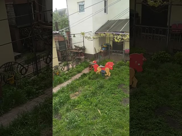 Фото Виконання комплексу команд на відстані