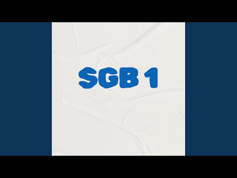 SGB 1