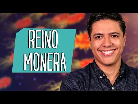 KINGDOM MONERA - BACTERIA - MICROBIOLOGY - Prof. Kennedy Ramos