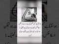 Best Urdu Status Youtubeshorts Shortvideo Viral Trending Shorts Best Status Urdu Viralvideo