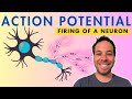 How Neurons Fire - Action Potential Explained!