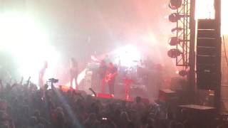 Tripping Daisy Blown Away