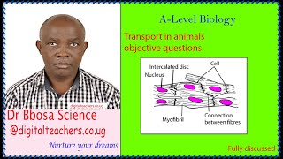 Transport in animals objective questions @ A level biology