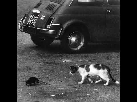 Conway the Machine ft. Goosebytheway "Montagna" (Produced by Wun Two)