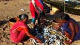 Fishing activities in a beach in Odisha