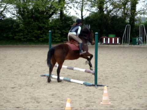 Moi eT flocoon Avant kergueres