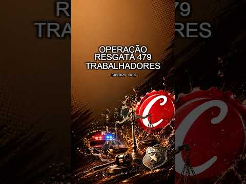 Desemprego Minas Gerais: relatório expõe luta diária de milhões