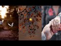 Ek Baat Kahu Kaya Ijajat Hai Song Love Status Hindi Love Status Romantic Song Shayari Status