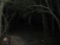 Creepypasta B O B Bestia Obscena Brutal