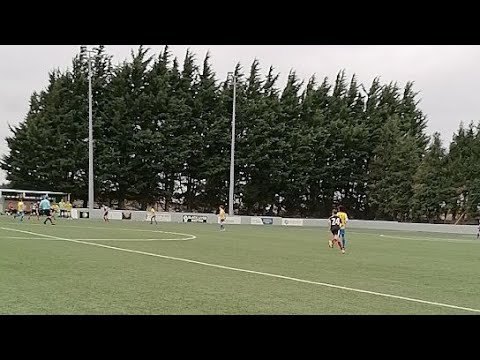 Msl Vs St Francis Dublin