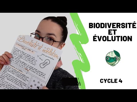 Biodiversité et évolution - 3ème - Madame SVT