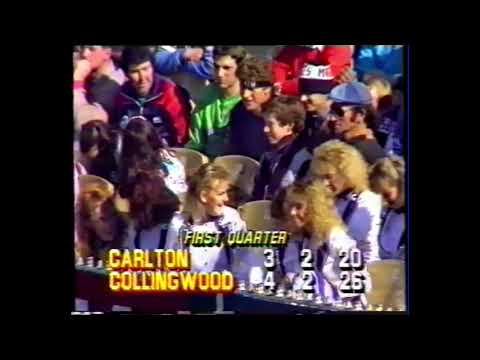 Blue Birds Briefly - 1986 Round 19 - Carlton vs Collingwood