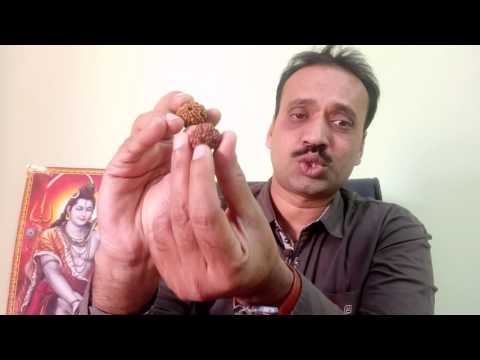 rudraksha | 8 mukhi rudraksha enefits | 8 मुखी रुद्राक्ष| | eighte Mukhi Rudraksha|Hindi Devotional