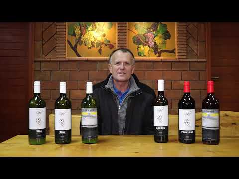 Lokalna trpeza - Restoran sa prenoćištem Boem