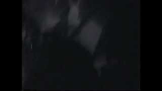 The Fall - Smile (live)