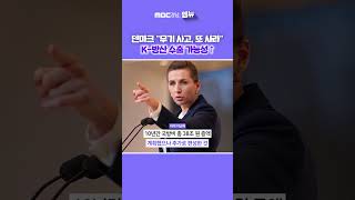 덴마크 “무기 사고, 또 사라” K-방산 수출 가능성 있다