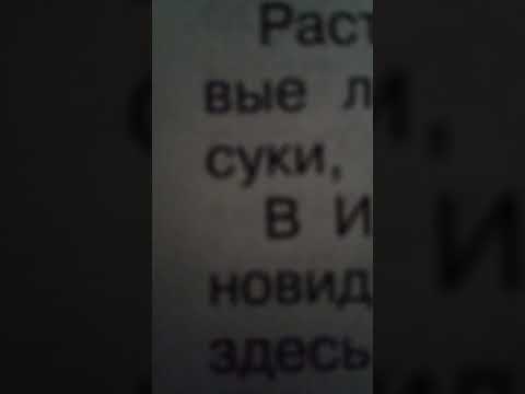 #маты #zxcursed #shadowraze