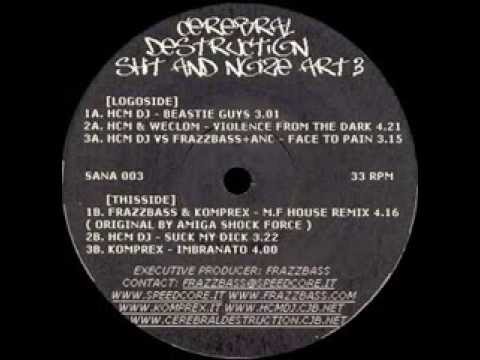 HCM DJ - Beastie Guys