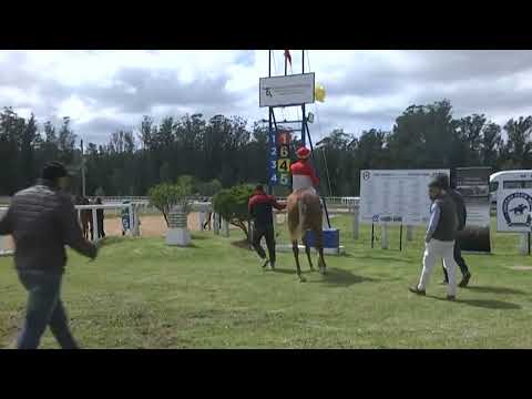 SINT MELO 220925 c03- 1° MORADA