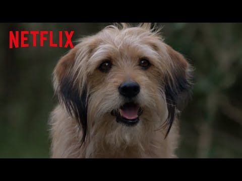 Benji's Clever Plan | Benji | Netflix After School