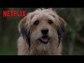 Benji's Clever Plan | Benji | Netflix After School