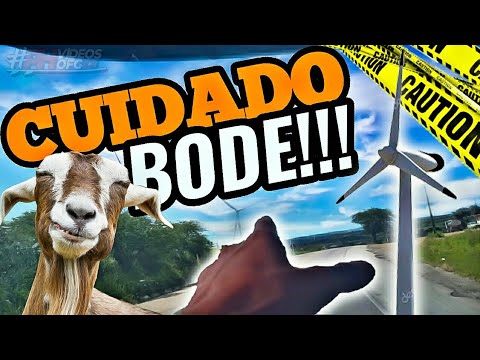 CHEGANDO NO NORDESTE PASSANDO PELO SERTÃO,OLHA QUE TOP🎬😮