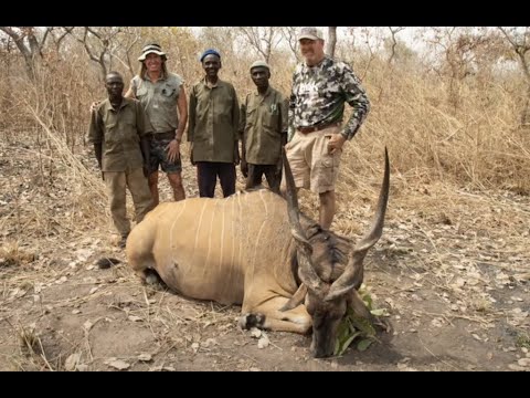 Incredible Full Bag Cameroon Savannah Hunt