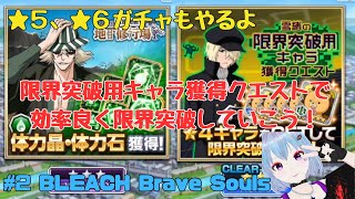 #2 BLEACH Brave Souls【ブレソル】