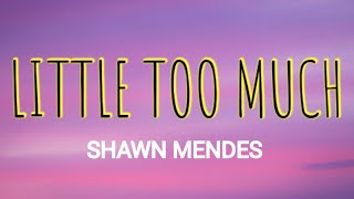 SHAWN MENDES - LITTLE TOO MUCH ( LYRICS)