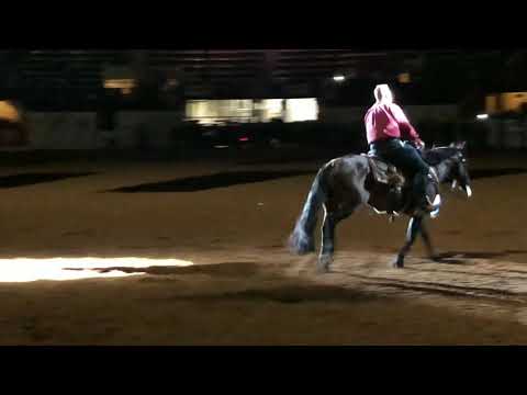 Corey Cushing and SJR Diamond Mist-2018 NRCHA SBF Open Champions