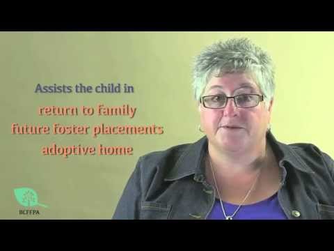 BC Foster Basics- Reporting and Documentation