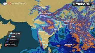 7 Day Rainfall Forecast from Aug 5 to 11