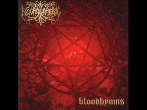 Cult Of Blood video thumbnail