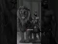 Vaar ️ Sidhu Moose Wala New Song Punjabi Lyrics Whatsapp Status