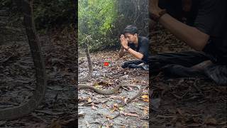 Download lagu detik det1k tedung selar k3j4r p3mud4 ini #viralvideo #snake #ularbesar #shortvideo #cobra mp3