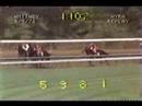 Alydar - 1978 Whitney Stakes